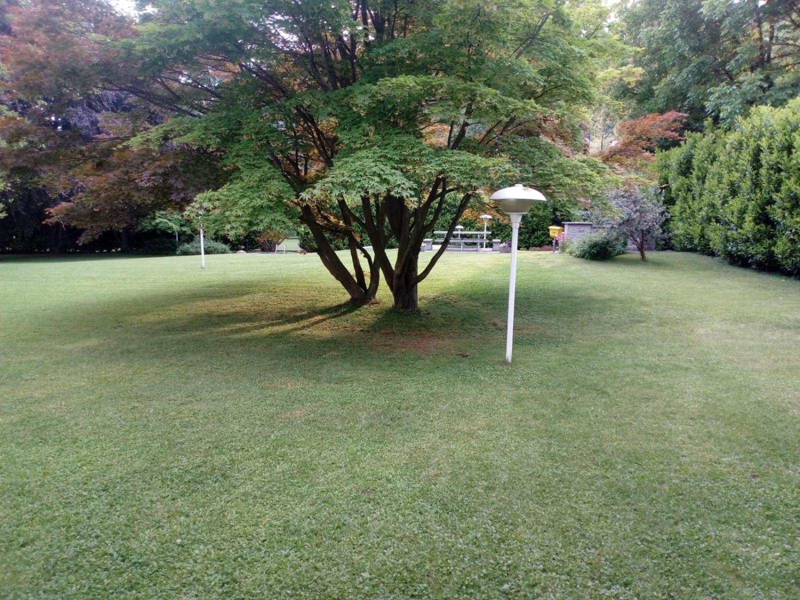 Villa Alice Lesa Exterior foto